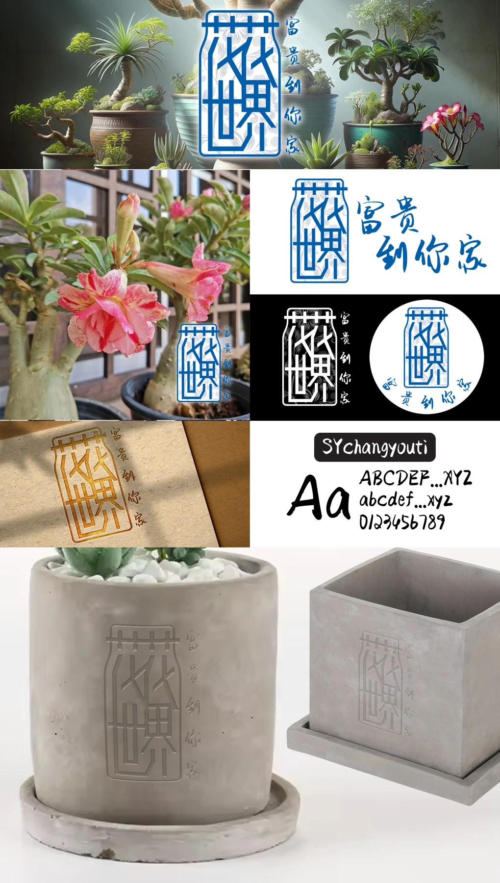 品牌识别与应用