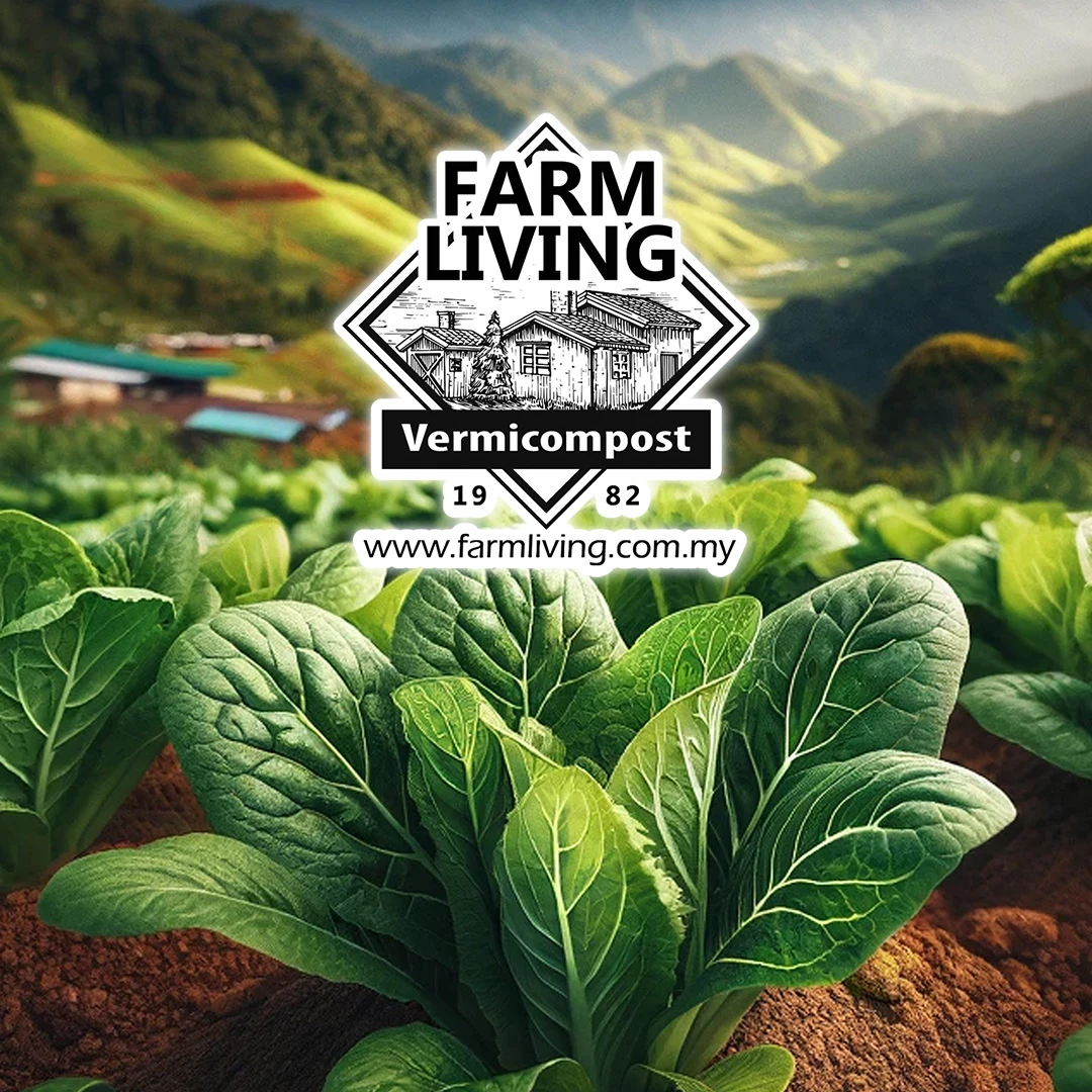 Farm Living 品牌应用